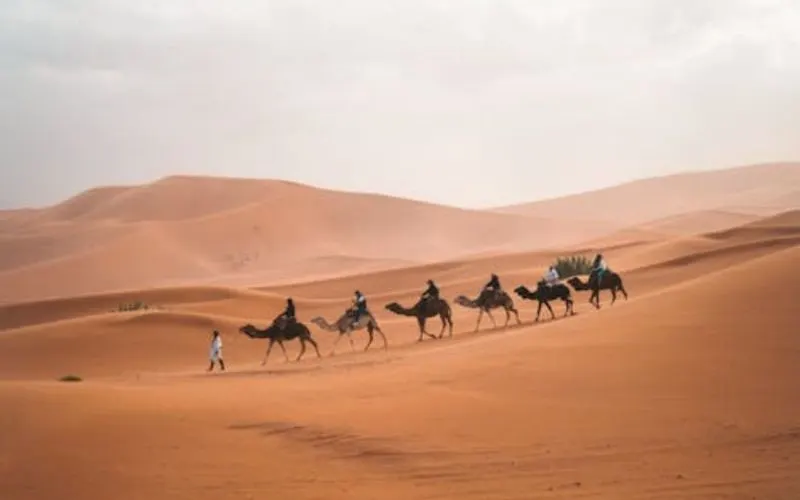 Camel Riding in Desert