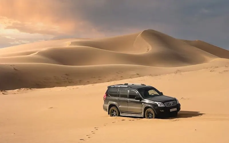 Camel Desert Safari Abu Dhabi Pickup