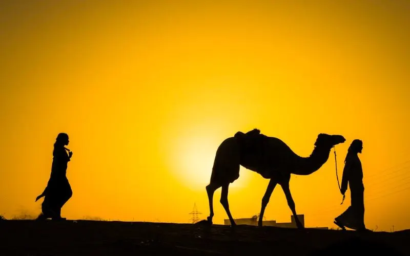 Camel Desert Safari Abu Dhabi Sunrise View