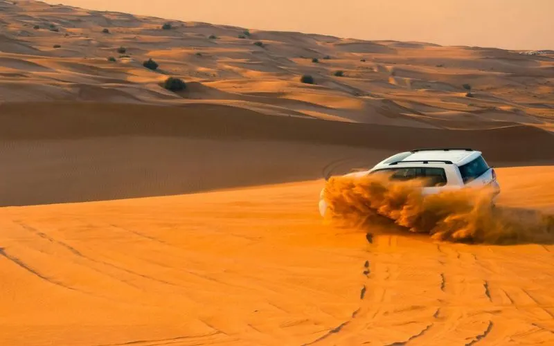 Dune Bashing