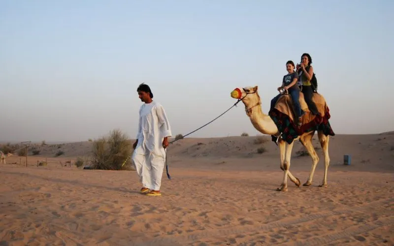 Camel Ride in Dubai Desert
