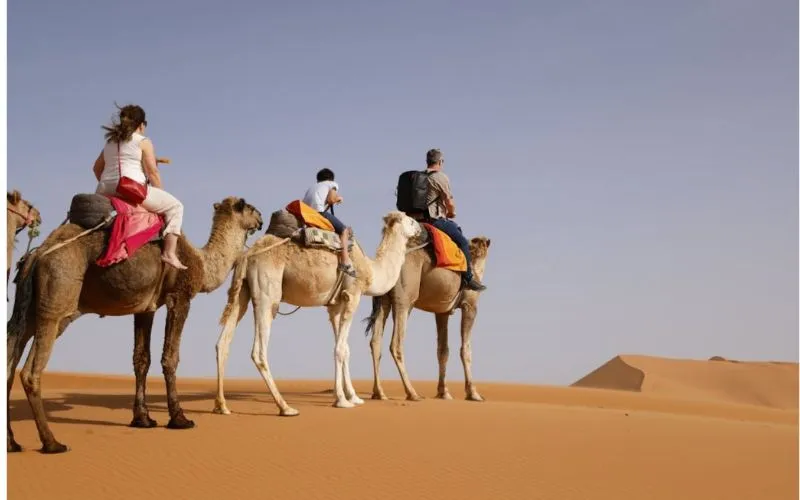 Camel Riding Abu Dhabi Desert